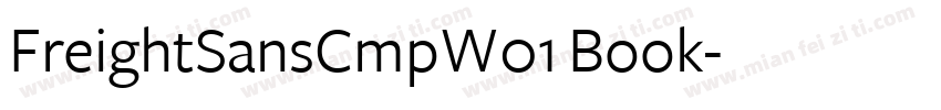 FreightSansCmpW01 Book字体转换